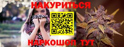 spice Кандалакша