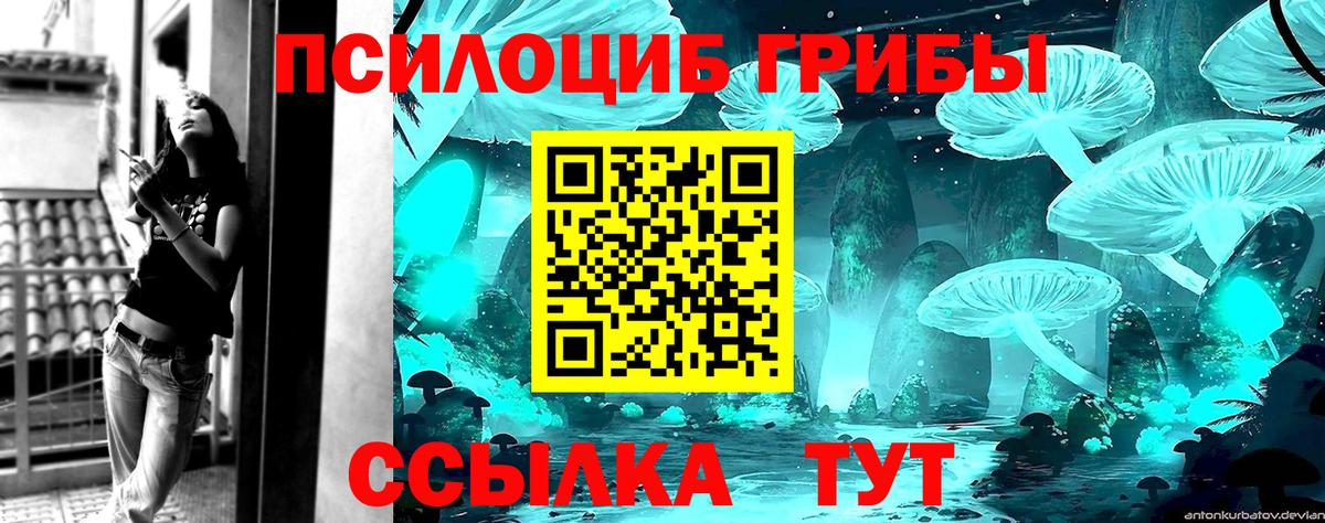Псилоцибиновые грибы Psilocybe Петрозаводск
